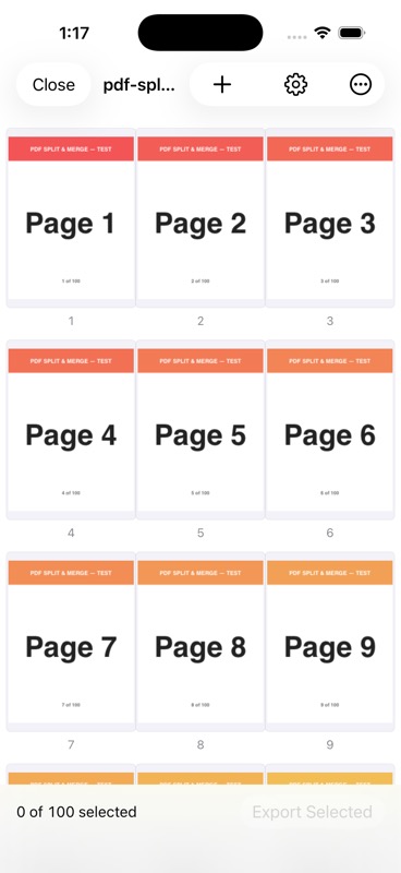 A scrollable grid of PDF page thumbnails.