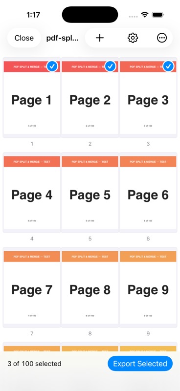 Three pages selected, with a status bar reading 3 of 100 pages selected and Export Selected enabled.